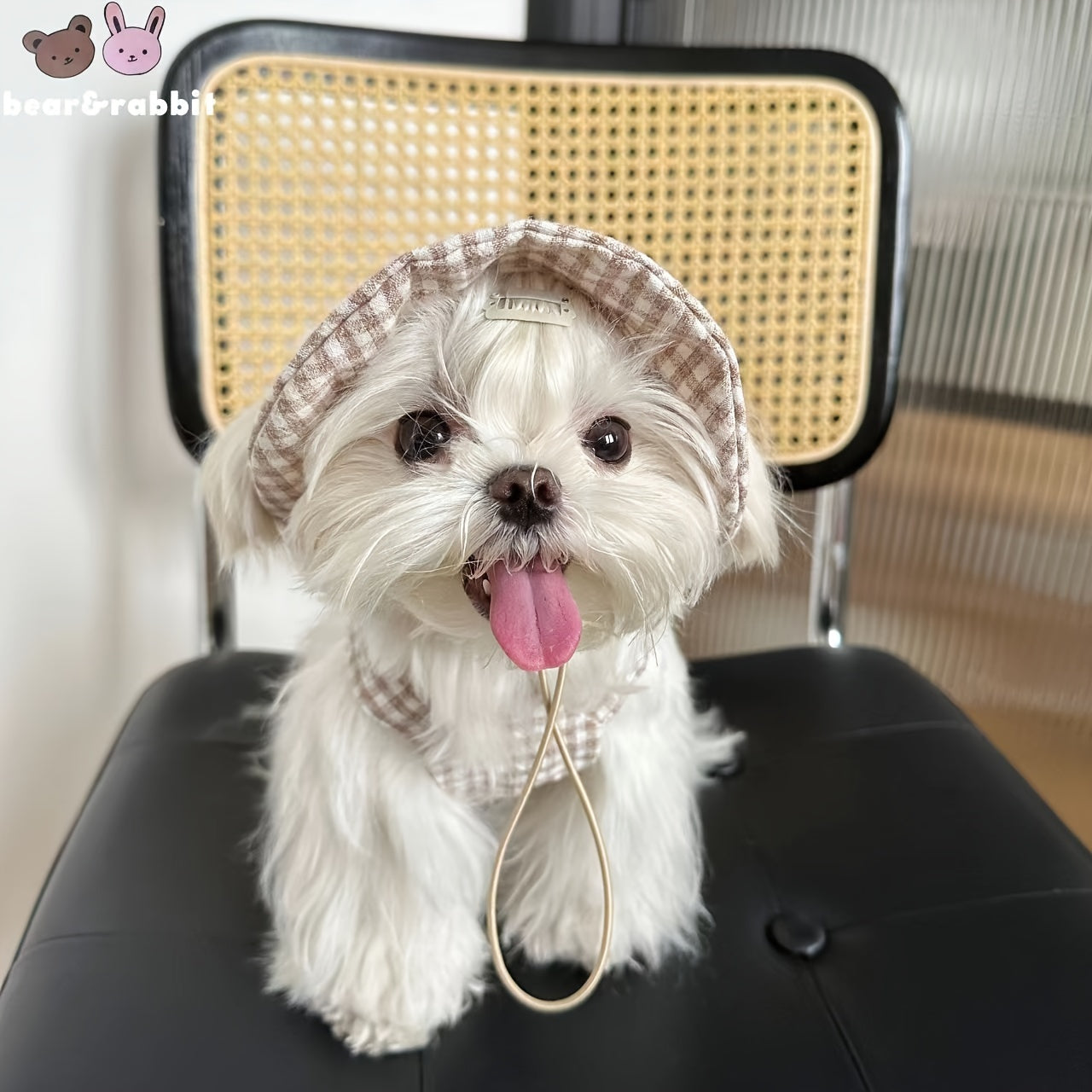 Summer Cute Hat For Dog