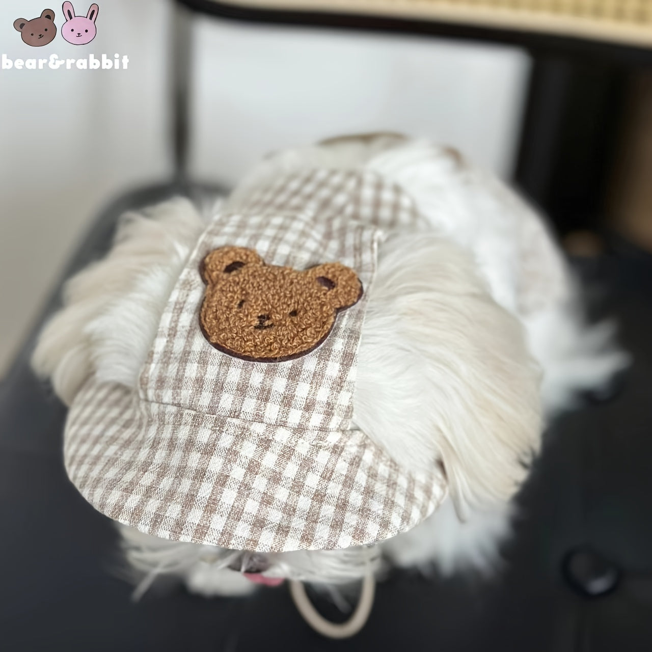 Summer Cute Hat For Dog