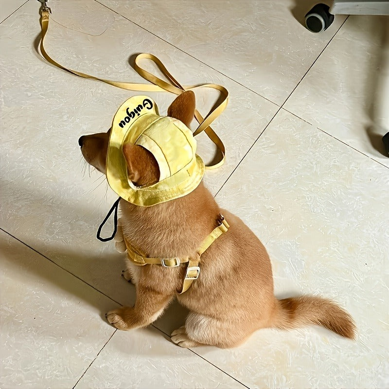 Exclusive Adidas-style Colorful Paw Print LOGO Plus Name Printing for Pets, Universal Sun Protection Hats for Cats and Dogs, Pet Gifts Available in Multiple Colors. Suitable for Both Cats and Dogs, These Hats Provide Sun Shading and Protec